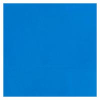 Bruynzeel Ecola plakkaatverf fles 16ml lichtblauw 501