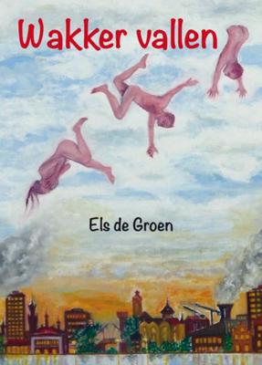 Wakker vallen (Paperback)