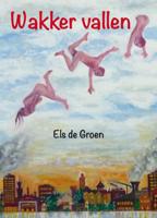 Wakker vallen (Paperback)