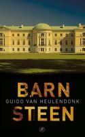 Barnsteen - Guido van Heulendonk - ebook