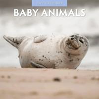Baby Animals Kalender 2027