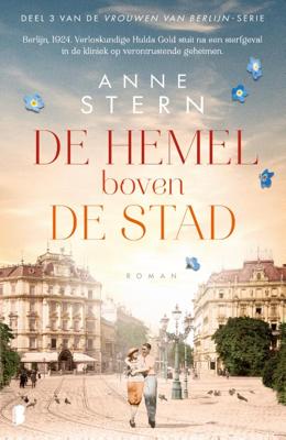 De hemel boven de stad (Paperback)