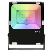 Zigbee RGBWW led Schijnwerper/ bouwlamp 30 Watt IP65 - Hue compatible