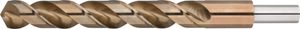 Rotec HSS-E spiraalboor, DIN 338, type HD-S, d2=13, ø15,0 - 1101501