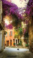 Bougainville poes 70x130cm Tuinschilderij - Customize it