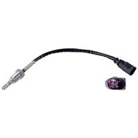 Sensor, uitlaatgastemperatuur 171265