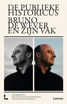 De publieke historicus - Koen Aerts, Maarten Van Ginderachter, Antoon Vrints, Nico Wouters - ebook