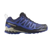 Salomon XA Pro 3D V9 GTX Wandelsneakers heren 45