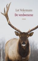 De verdwenene - Lot Vekemans - ebook