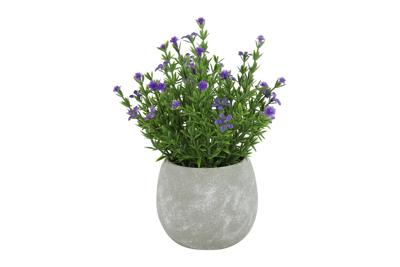 Decostar Countryfield Hebe paars
