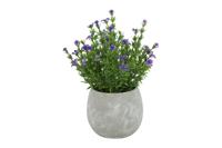 Decostar Countryfield Hebe paars
