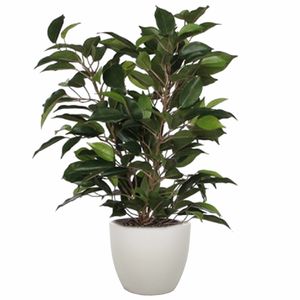 Groene ficus kunstplant 40 cm met plantenpot taupe D13.5 en H12.5 cm