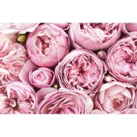 Inductiebeschermer - Roze Tulpen - 59x52 cm