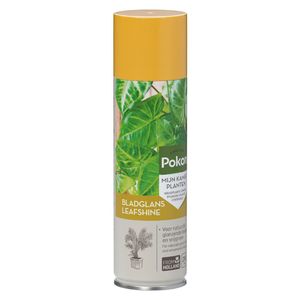 Pokon bladglans 250ml