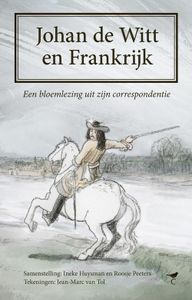 Johan de Witt en Frankrijk - - ebook