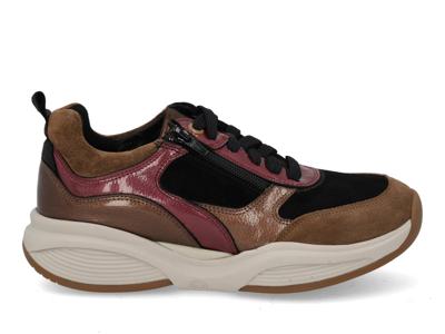 Xsensible SWX19 32004.2 316 camel Bruin maat 38