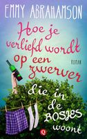 Hoe je verliefd wordt op een zwerver die in de bosjes woont - Emmy Abrahamson - ebook