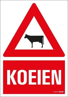 Combi-Bord 23 x 33 cm - Pickup