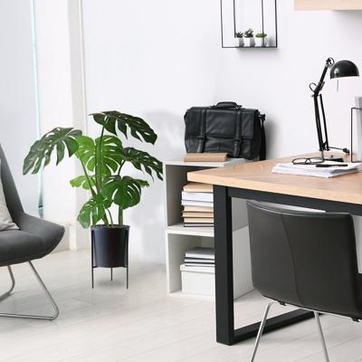 Monstera kunstplant 75cm RT