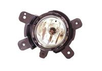 Mistlamp rechts H27W2 8313996