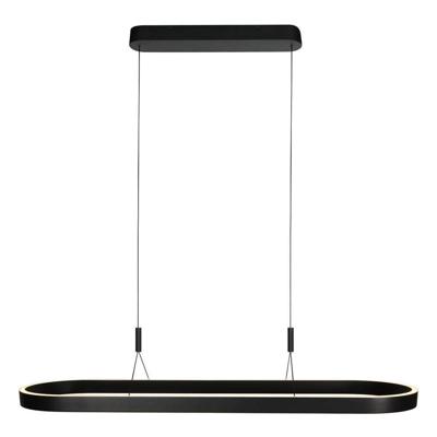 Steinhauer Moderne hanglampMykty zwart ovaal - 4205ZW