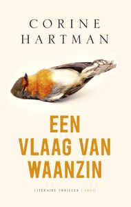 Een vlaag van waanzin - Corine Hartman - ebook