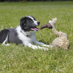 Trixie pluchen gier Gustaaf met geluid hondenspeeltje Per stuk