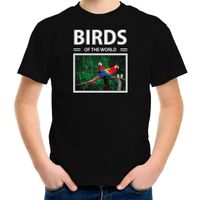 Papegaaien vogel t-shirt met dieren foto birds of the world zwart voor kinderen