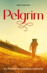 Pelgrim - Hans Peter Roel - ebook
