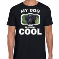 Friese stabij honden t-shirt my dog is serious cool zwart voor heren - thumbnail