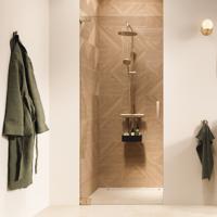 Draaideur In Nis Sealskin Pure 80x200 cm Helder Glas Antikalk Geborsteld Goud