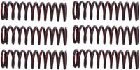 TRW koppelingsveer set clutch spring kit mef306-6