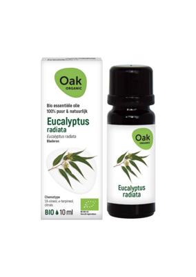 OAK Eucalyptus radiata bio
