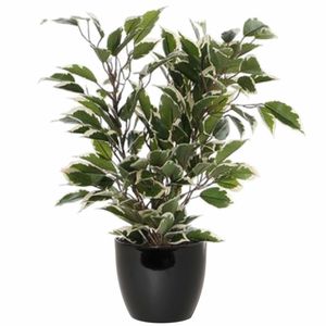 Groen/witte ficus kunstplant 40 cm met plantenpot zwart D13.5 en H12.5 cm