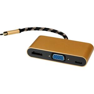 ROLINE GOLD Display Adapter USB type C - VGA / HDMI / C (PD)