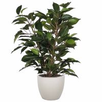 Groene ficus kunstplant 40 cm met plantenpot taupe D13.5 en H12.5 cm - Kunstplanten - thumbnail