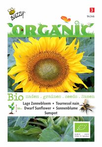 Organic Zonnebloem type Sunspot (Skal 14275) - Buzzy