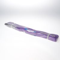 Hijsband violet 1000kg4m
