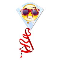 Kites Ready 2 Fly - vlieger emoji