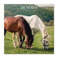 Paarden Kalender 2026