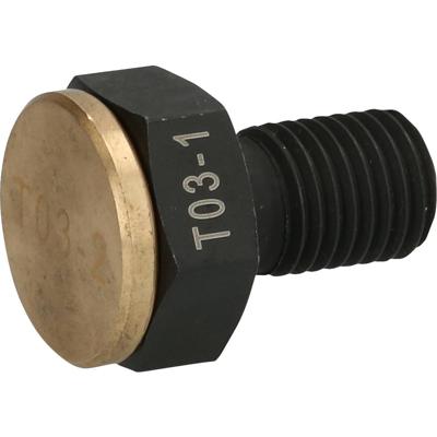 KS Tools 460.0908 Schroef met slagkap