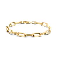 Armband Paperclipschakel geelgoud 6,0 mm 18,5 cm Armband Paperclipschakel geelgoud 6,0 mm 18,5 cm