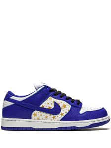 Nike SB Dunk low-top sneakers - Blauw