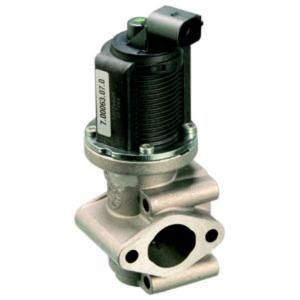 Delphi Diesel EGR-klep EG10259-12B1