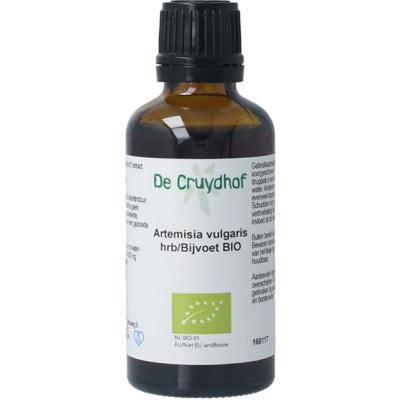 Natura Sanat Artemisia vulgaris herb/bijvoet tinctuur bio Natura Sanat Artemisia vulgaris herb/bijvoet tinctuur bio