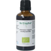 Natura Sanat Artemisia vulgaris herb/bijvoet tinctuur bio