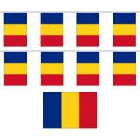 Roemenie vlaggenlijn - 2x - polyester stof - 900 cm - landen supporters feestartikelen - versiering
