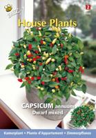 House plants capsicum sierpeper dwarf special - Buzzy