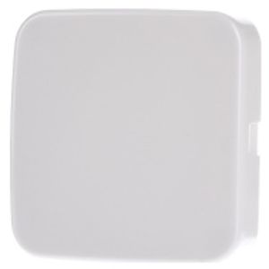 1576 C-214  - Cover plate for Blind plate white 1576 C-214