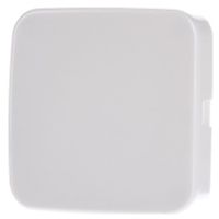 1576 C-214  - Cover plate for Blind plate white 1576 C-214